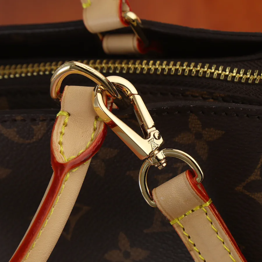 Petit Palais Tote Bag with Monogram Canvas and Leather Trim