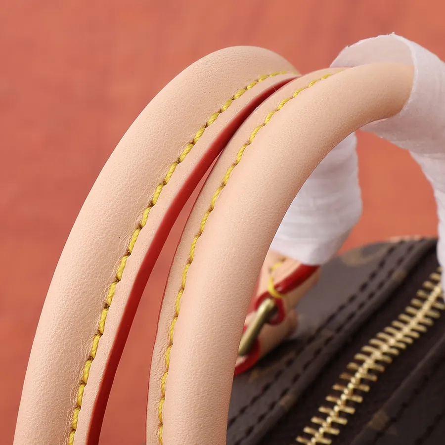 Nano Speedy Handbag in Classic Monogram