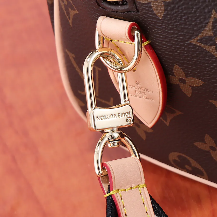 Speedy Bandoulière 20 in Monogram Canvas