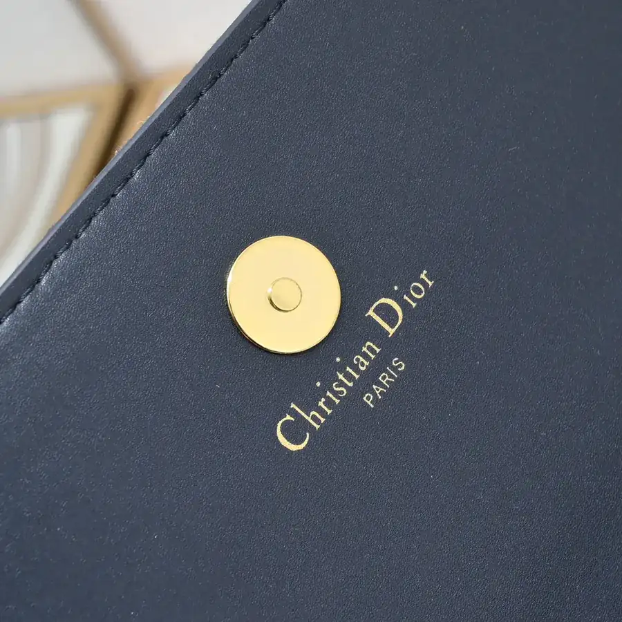 Dior CD Signature Mini Chain Bag