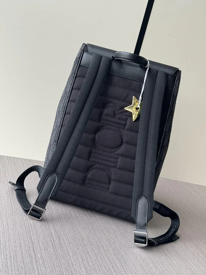 Dior Saddle Shoulder Bag with VIP Star