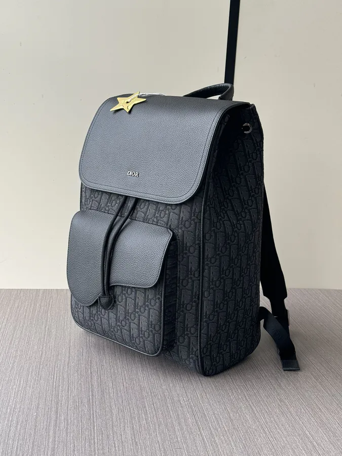 Dior Saddle Shoulder Bag with VIP Star