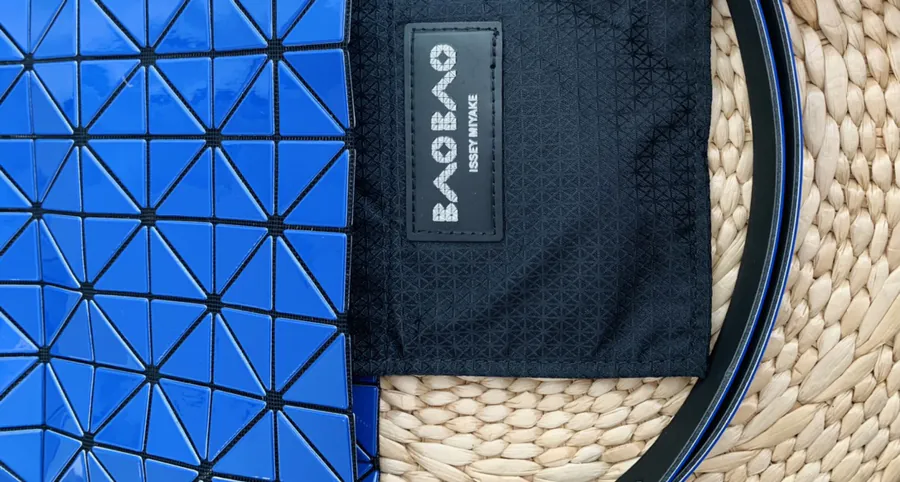Issey Miyake BAGUETTE Crossbody Bag