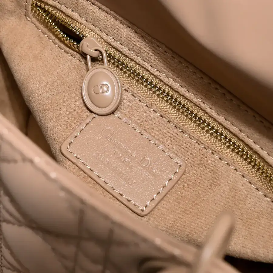 Di0r Ultra Matte Calfskin Crossbody Bag