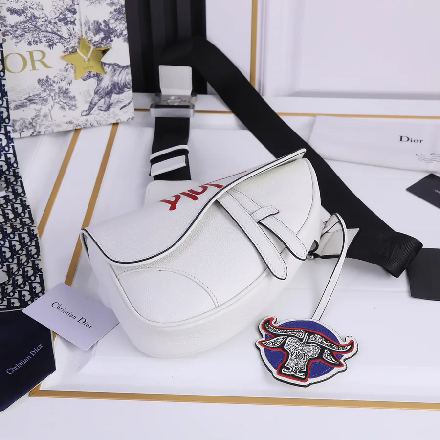Homme Saddle Bag 2021 Pre Fall Collection