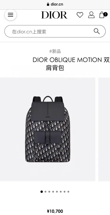 Dior Men's OBLIQUE MOTION Backpack