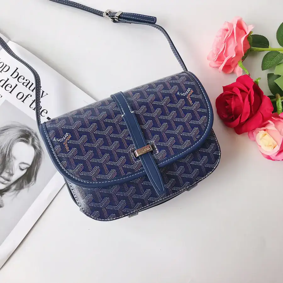 G0YARD (Goyard) Satchel Tote Bag