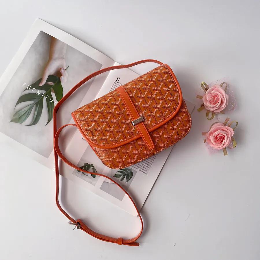 G0YARD (Goyard) Classic Satchel Bag