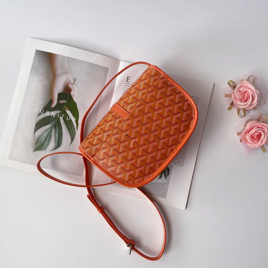 G0YARD (Goyard) Classic Satchel Bag