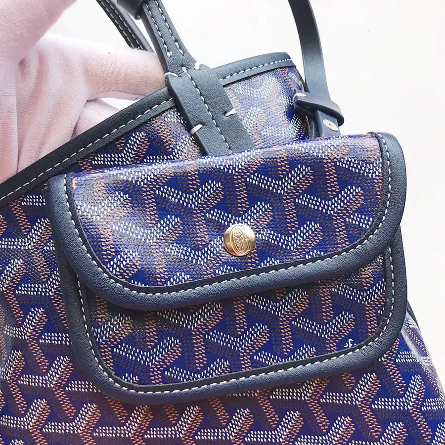 Goyar Mini Shopping Bag Casual & Trendy