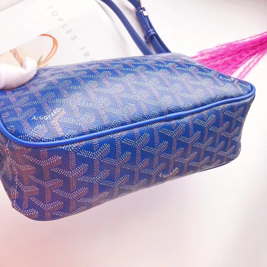 Goyar CapVert Camera Bag French Elegance, Custom Y Graffiti Leather