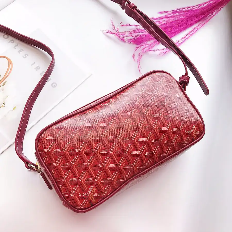 Goyar CapVert Camera Bag French Elegance, Custom Y Graffiti Leather