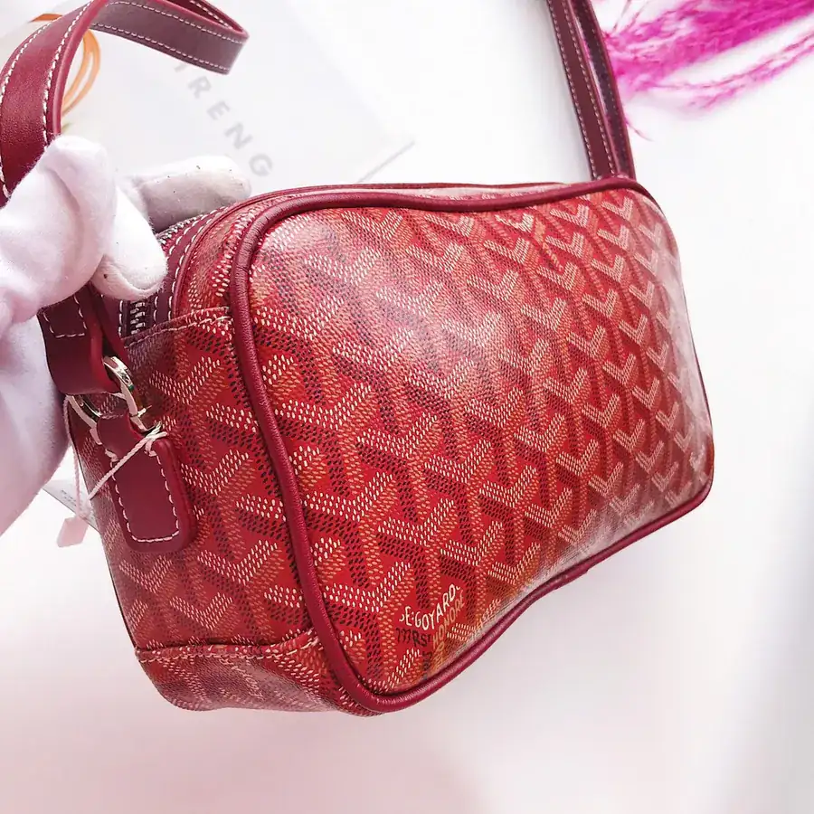 Goyar CapVert Camera Bag French Elegance, Custom Y Graffiti Leather