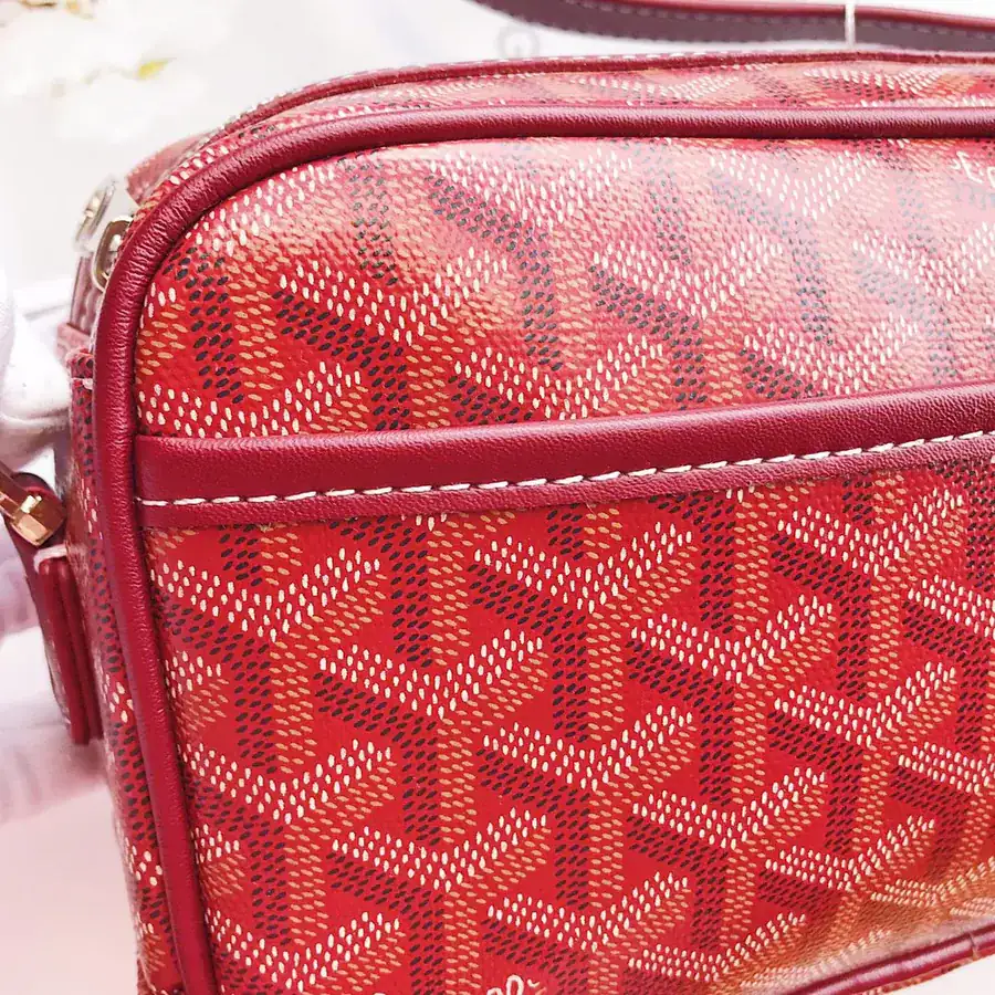 Goyar CapVert Camera Bag French Elegance, Custom Y Graffiti Leather