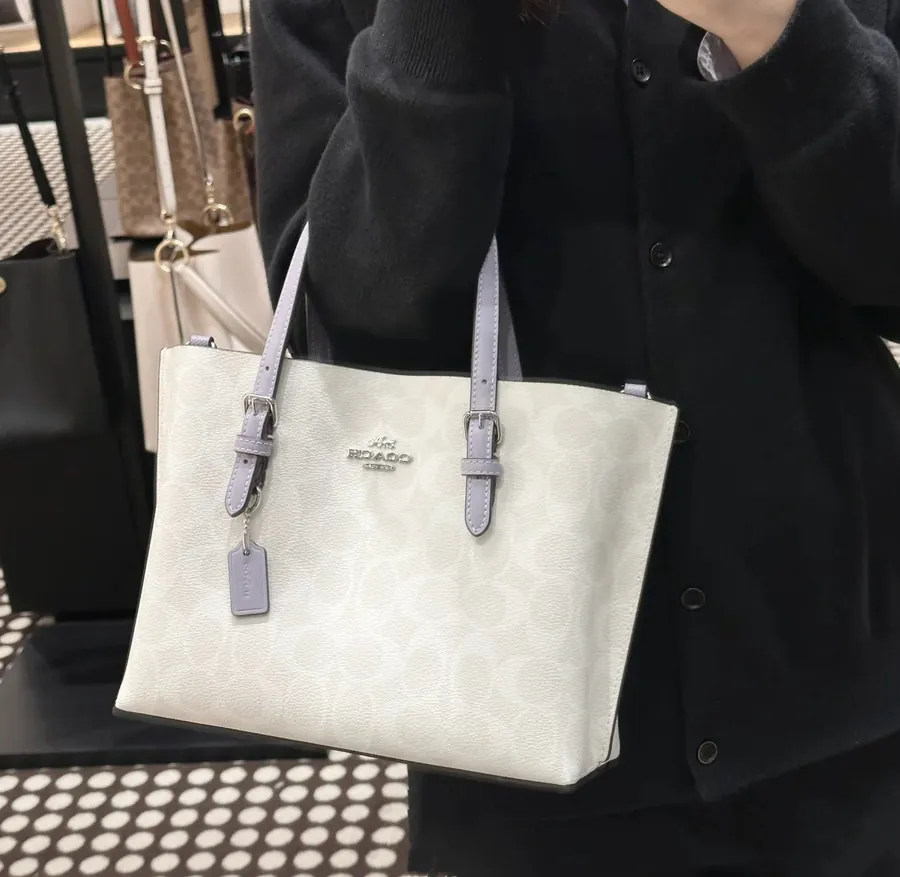 Coach Mollie Tote Small
