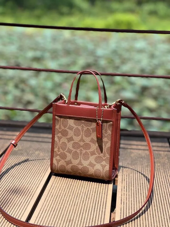 Coach Cashin Tote Mini Tote