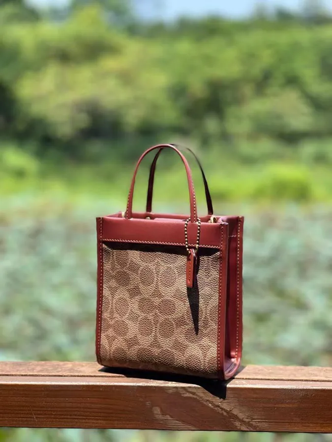 Coach Cashin Tote Mini Tote