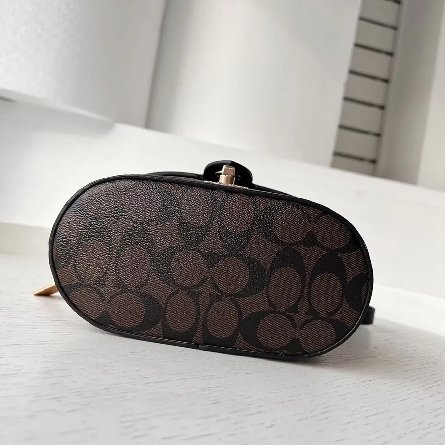 P250 C 78277 Classic C Logo Calfskin化妆包