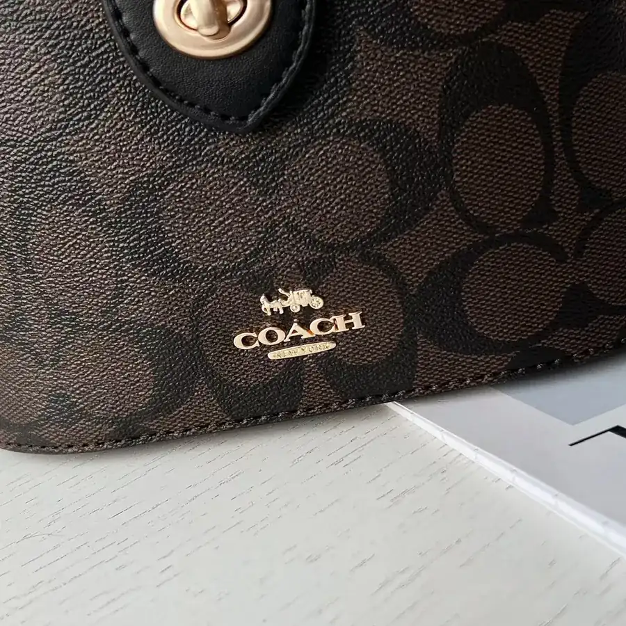 P250 C 78277 Classic C Logo Calfskin化妆包