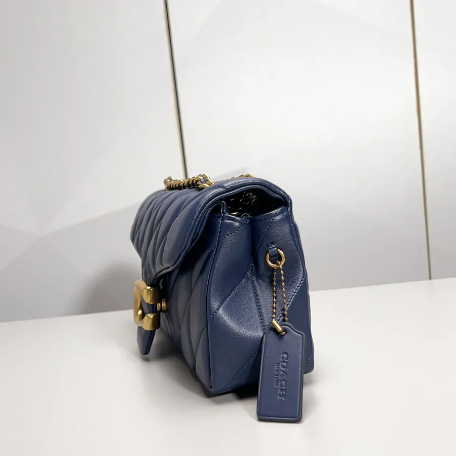 Coa New Color Bucket Bag with Chain Tabby and Grained Calfskin