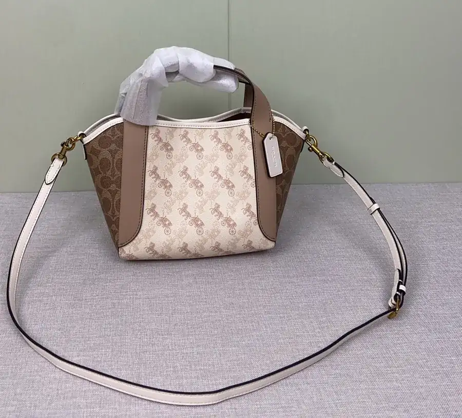 COACH HADLEY Bucket Bag in New Color