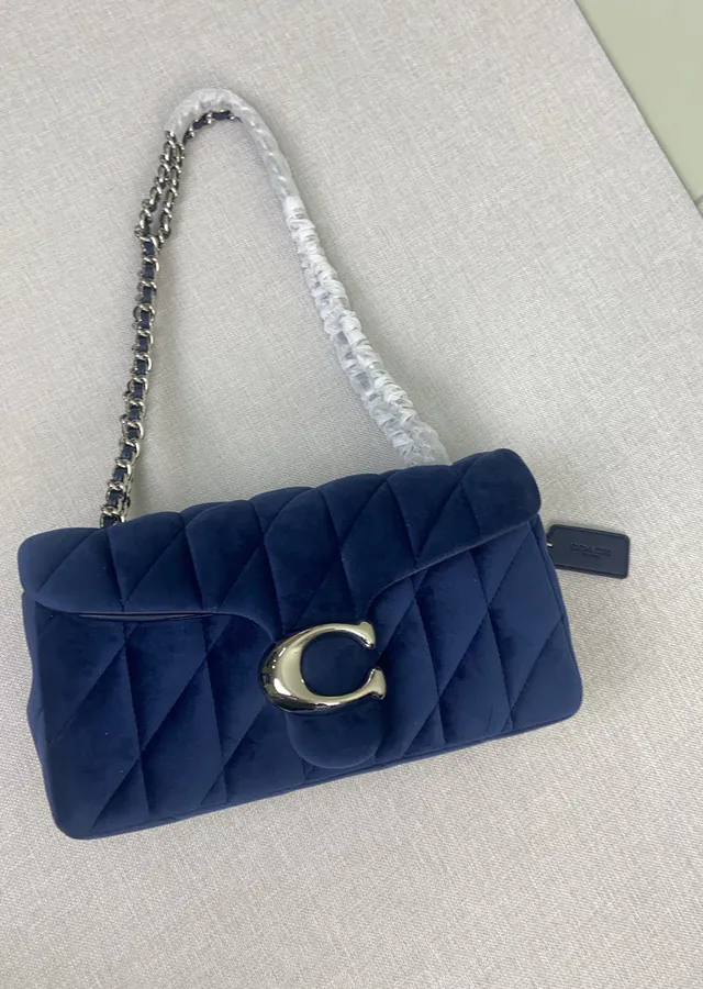 Coach Velvet Gem Blue Bucket Bag