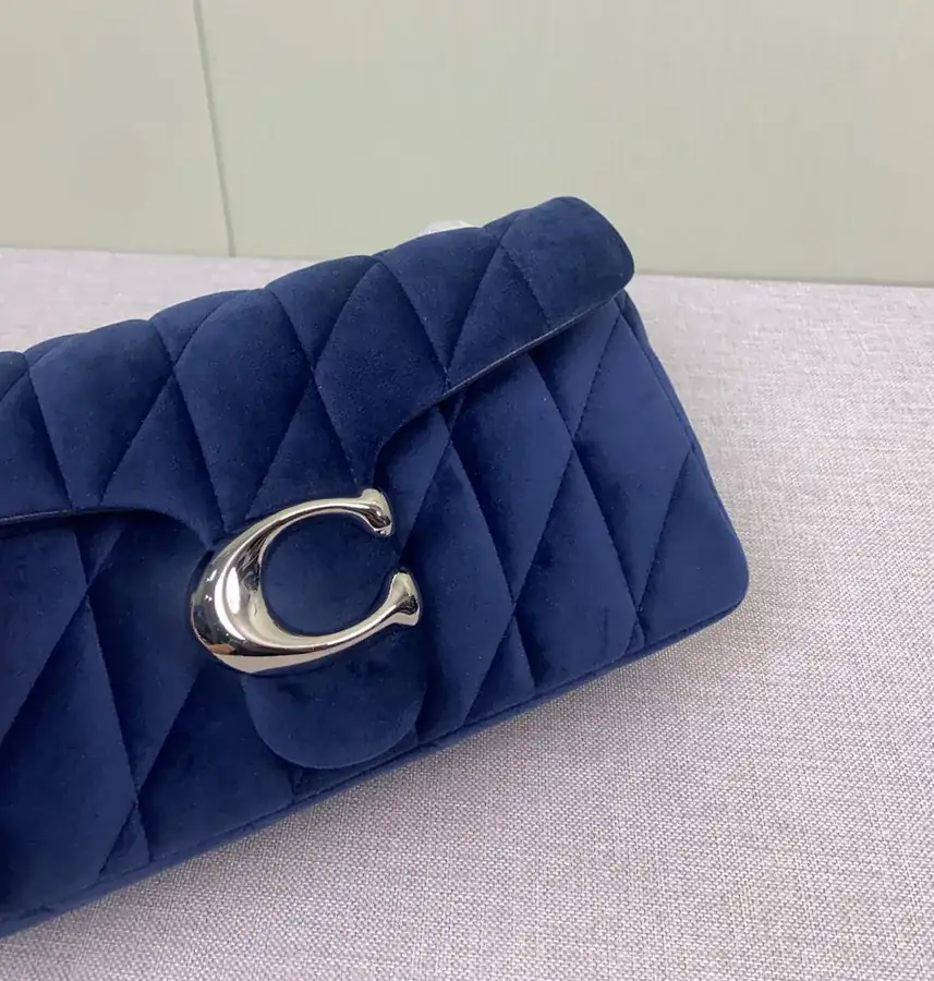 Coach Velvet Gem Blue Bucket Bag