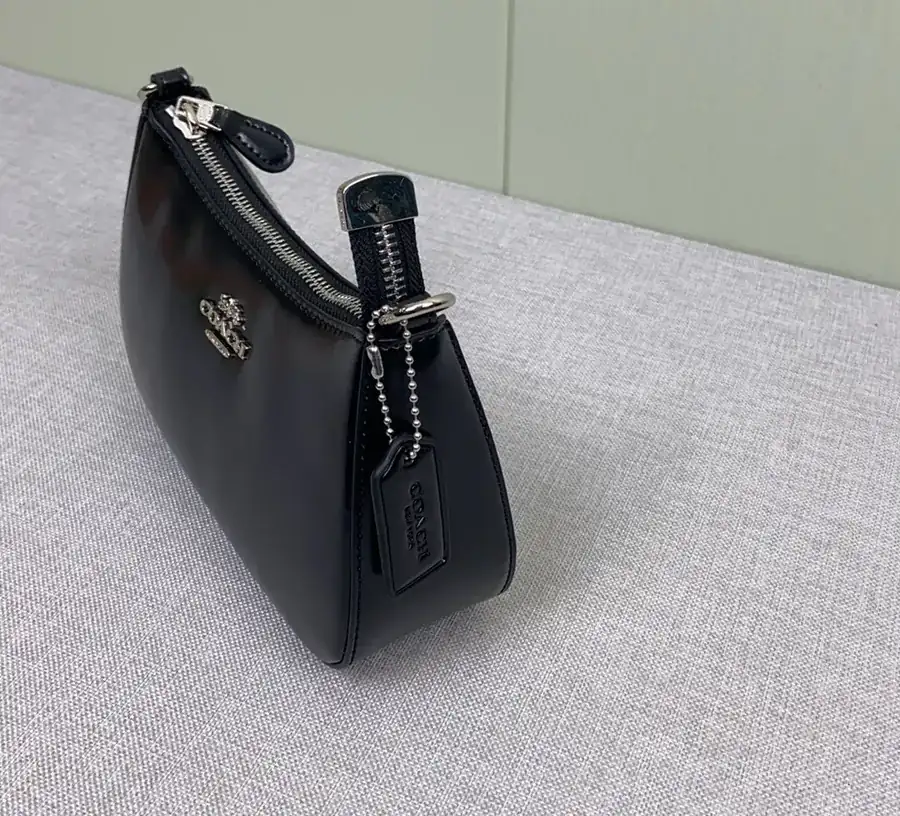 COACH Teri Crossbody Bag Chocolate Color