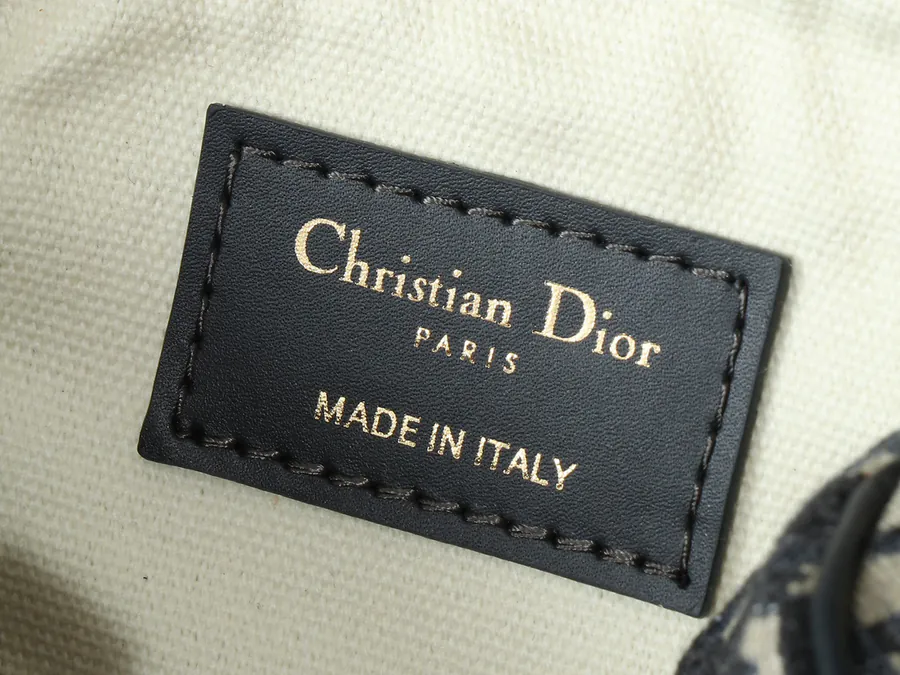 Dior Groove Mini Bag with Blue Oblique Print