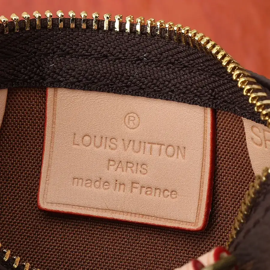 Nano Speedy Handbag in Classic Monogram