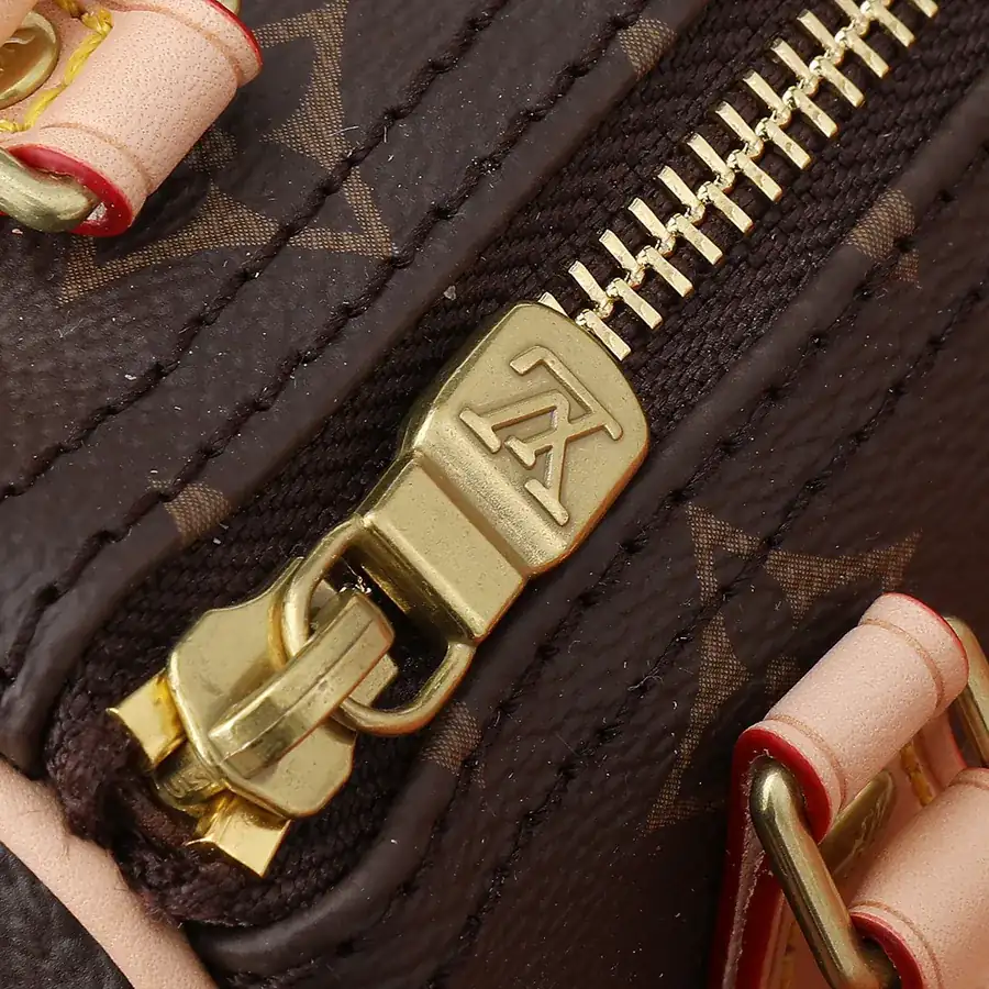 Nano Speedy Handbag in Classic Monogram
