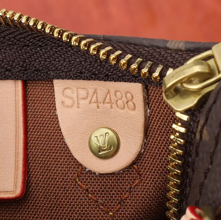 Nano Speedy Handbag in Classic Monogram