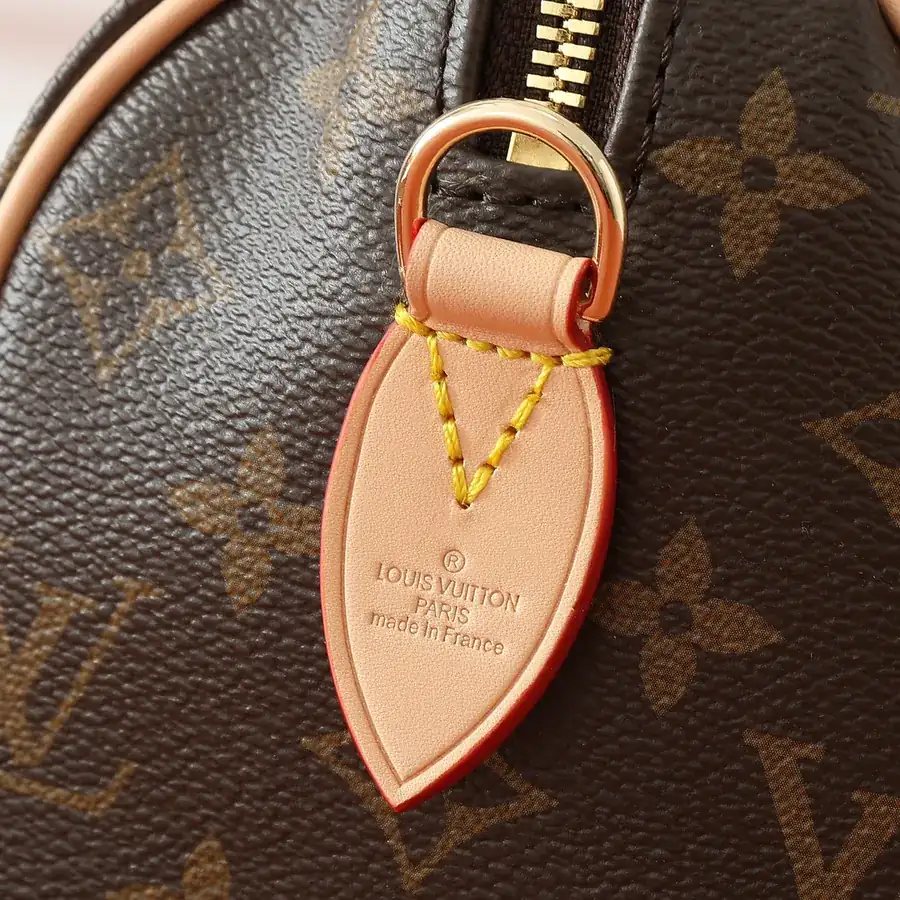 Speedy Bandoulière 20 Elegant Travel Bag with Monogram Canvas and Leather Trim