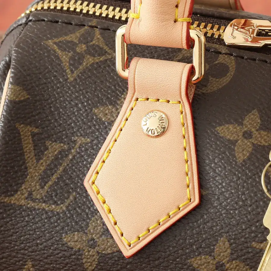 Speedy Bandoulière 20 Elegant Travel Bag with Monogram Canvas and Leather Trim