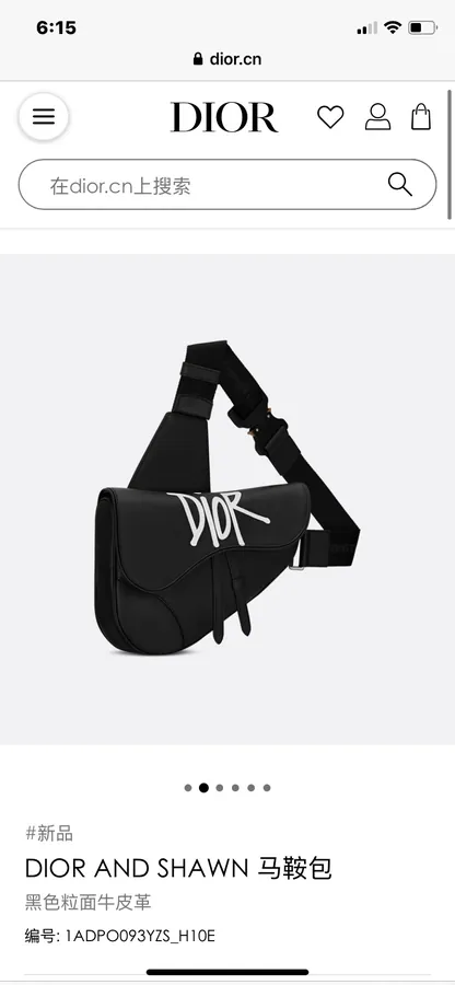 DIOR Saddle Bag Black Grained Calfskin