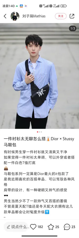 DIOR Saddle Bag Black Grained Calfskin