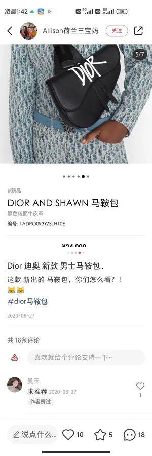 DIOR Saddle Bag Black Grained Calfskin