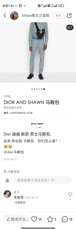 DIOR Saddle Bag Black Grained Calfskin