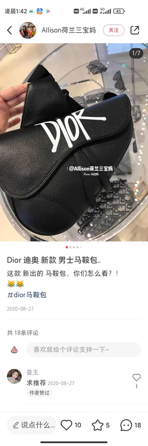 DIOR Saddle Bag Black Grained Calfskin