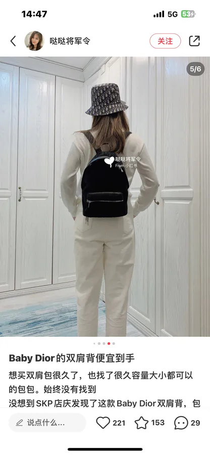 Dior Rider Backpack Classic Academic Design, Small Size