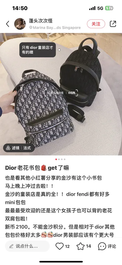 Dior Rider Backpack Classic Academic Design, Small Size