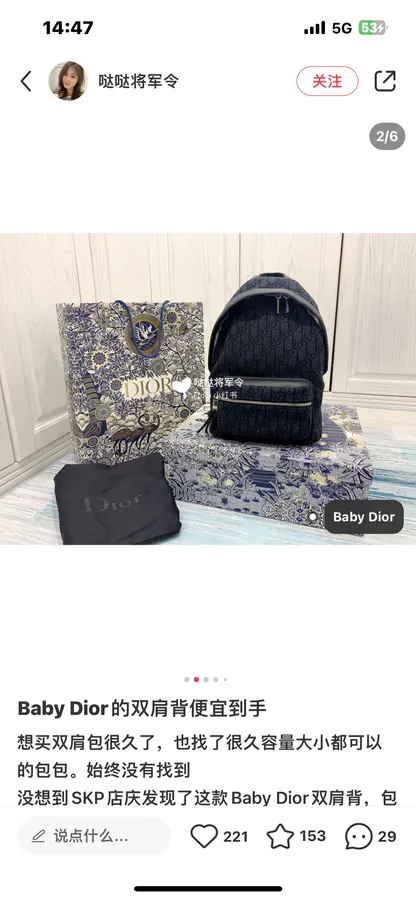 Dior Rider Backpack Classic Academic Design, Small Size