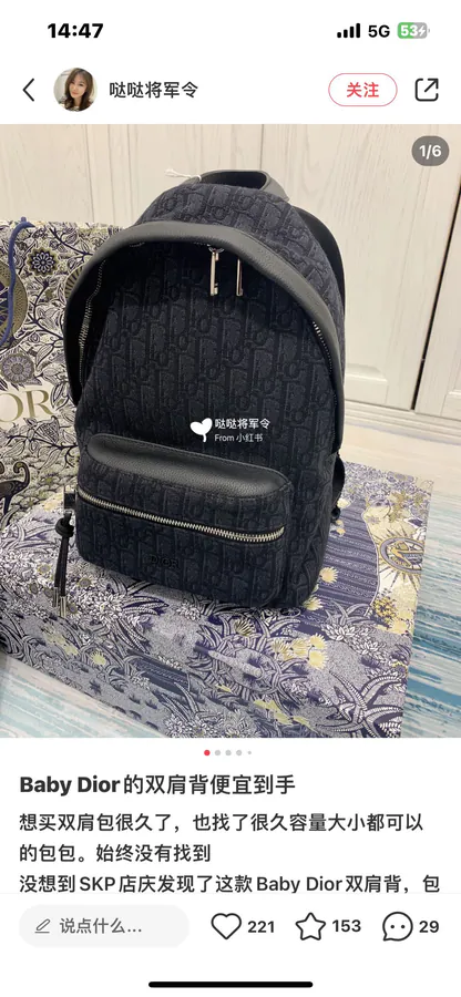 Dior Rider Backpack Classic Academic Design, Small Size