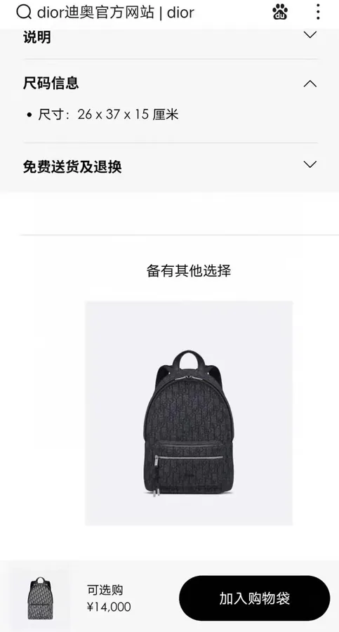 Dior Rider Backpack Classic Academic Design, Small Size