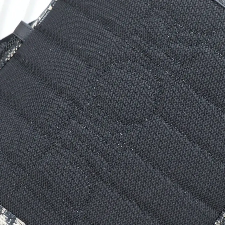 Dior 8 Flap Backpack Modern Outdoor Inspired