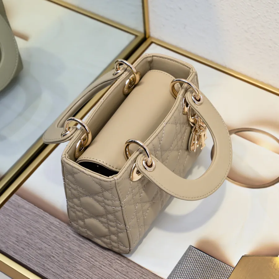 Dai Fei Bucket Bag in Apricot with Gold Trim