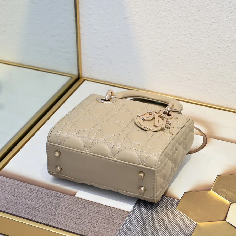 Dai Fei Bucket Bag in Apricot with Gold Trim