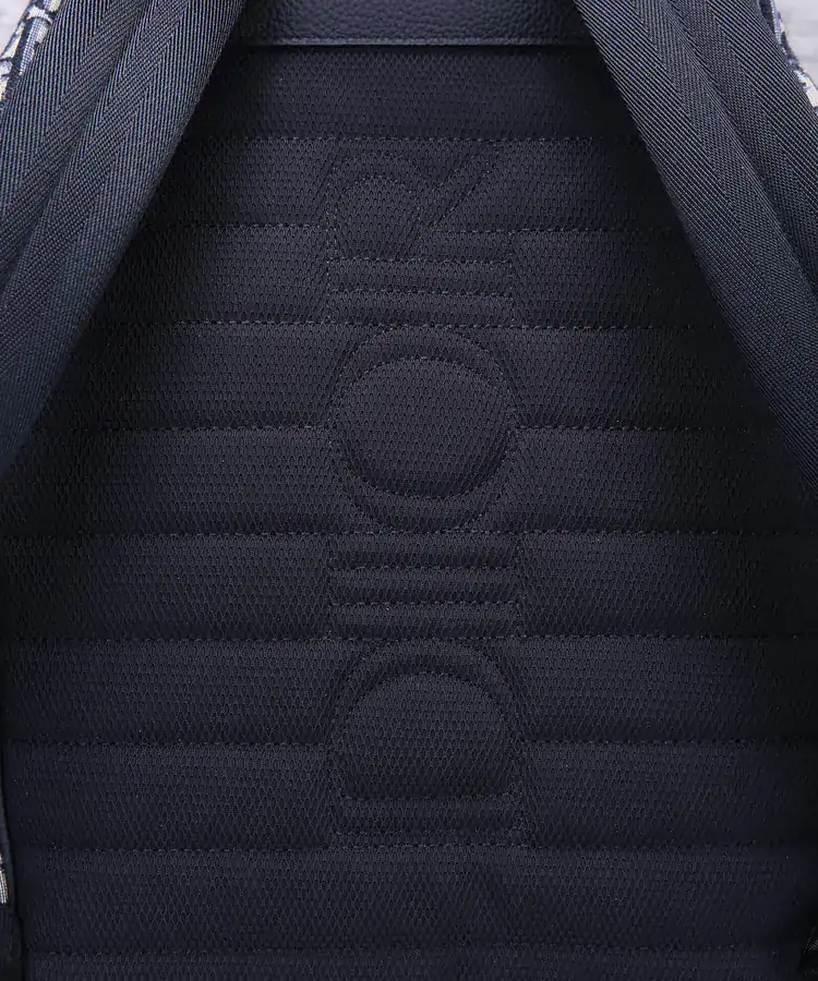 DIOR Saddle Crossbody with Oblique Print and Grained Calfskin Details