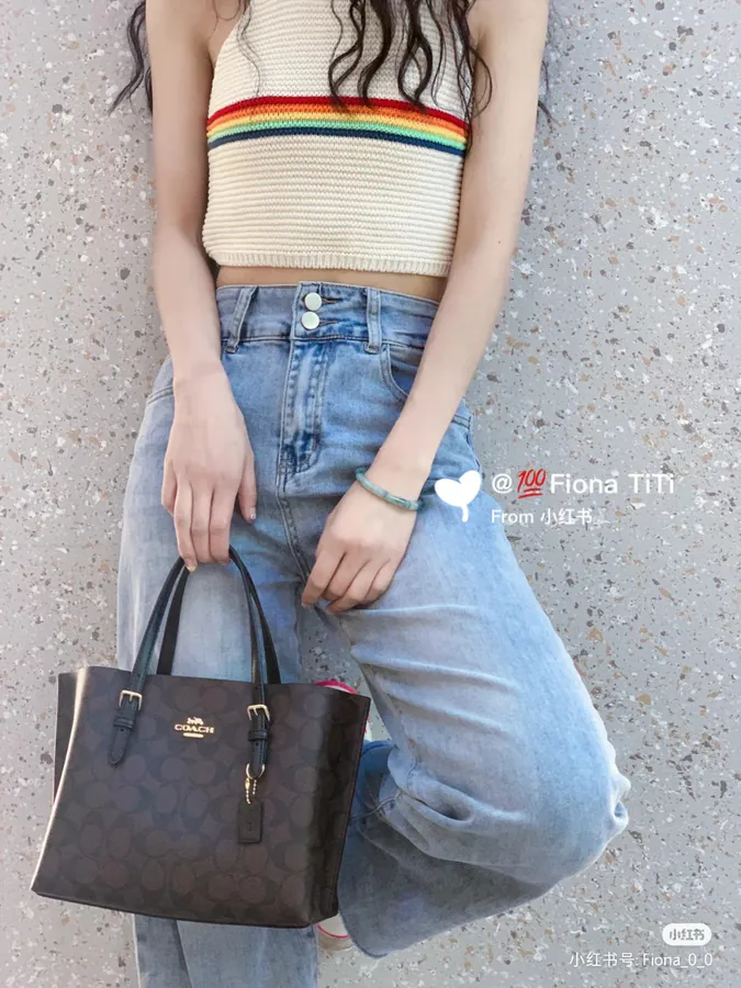 Coach Mollie Tote Mini