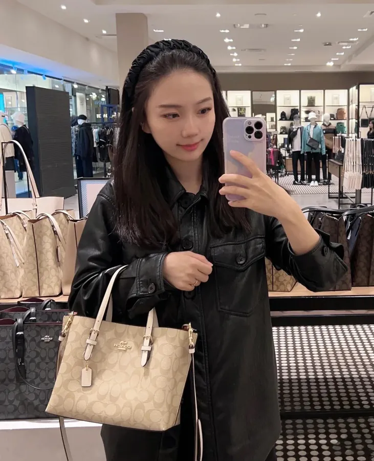 Coach Mollie Tote Small